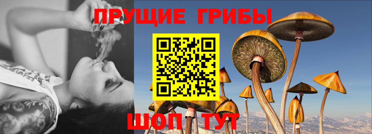Псилоцибиновые грибы мицелий Белгород