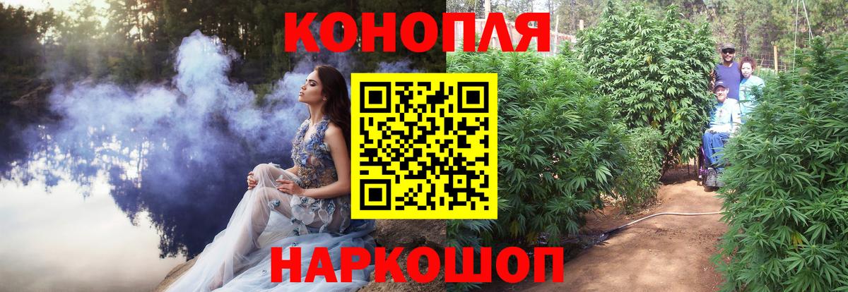 Бошки Шишки конопля  Каннабис план  Белгород  Вход с VPN  Бошки марихуана MAZAR 